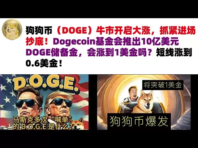 狗狗幣（DOGE）牛市開啟大漲，抓緊進場抄底！ Dogecoin基金會推出10億美元DOGE儲備金，會漲到1美金嗎？短線漲到0.6美金#DOGE幣#馬斯克狗狗幣#DOGE行情分析!
