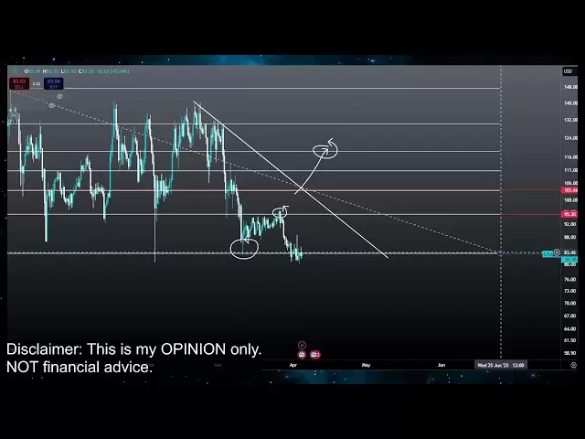 Litecoin LTC Bull Run即將到來！ LTC硬幣加密價格預測和技術分析今天2025