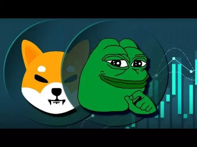 ペペはキングメムコインになります