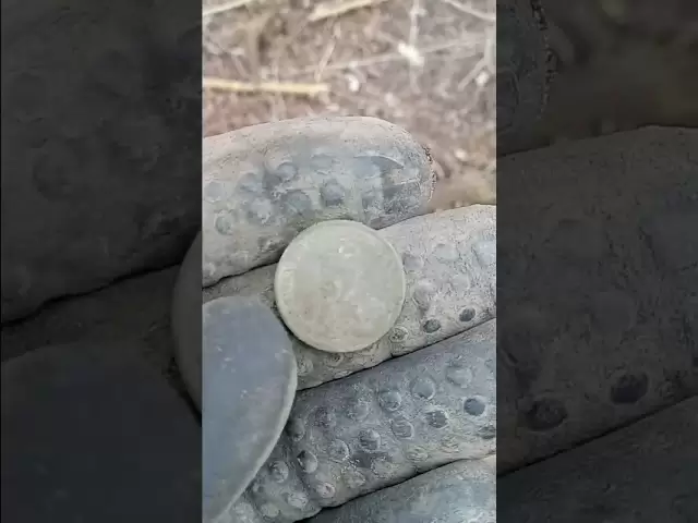 1936年の珍しいドットコインですか？