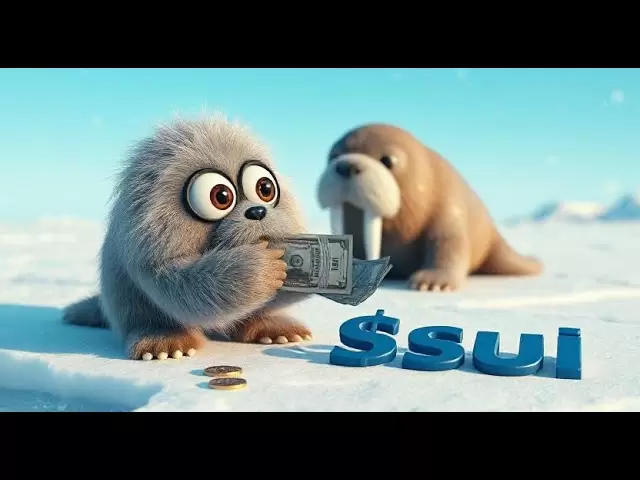 加密：区块链SU上有什么新功能？对#Walrus Wal的看涨和看跌策略