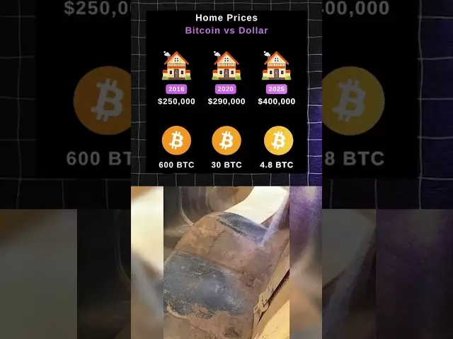 Et si vous avez investi dans Bitcoin 2016 #Crypto #CryptoneWs #CryptoCurrency #Bitcoin #xrp #solana #coin
