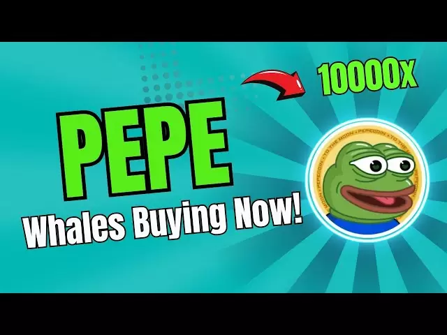 Pepe Coin : Pepe Coin은 조용히 폭발하고 있습니다 다시 늦지 마십시오!