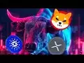 3 COIN est entré dans le cycle de taureau infini: XRP sera de 2100 $, Shiba 10,72 $ et l'île 145 $! 🚀7 April Storm! 🔥