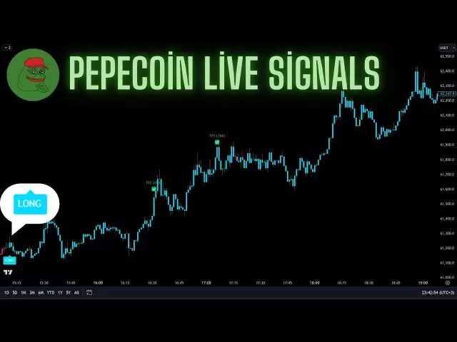 live 24/7 Pepe硬币5分钟最佳现场信号|交易信号|剥头皮策略Pepe Live图表