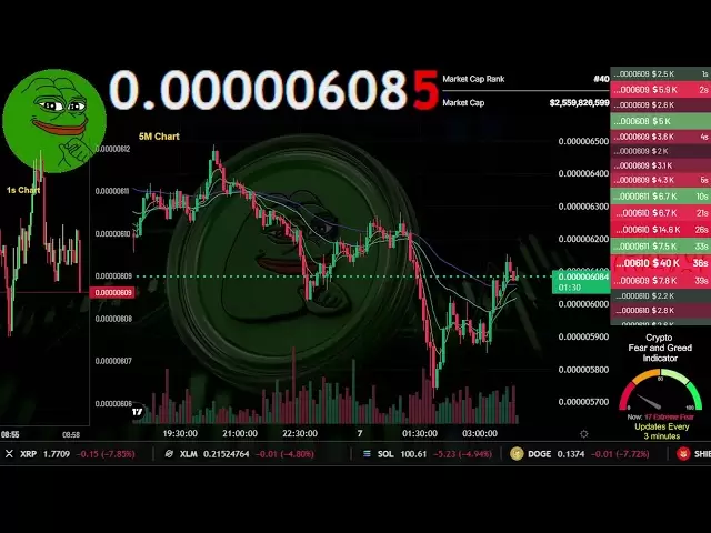 $ PEPE |直播24/7 | Pepe USDT | pepe the frog硬币|交易信号图表| 4月7日至9日