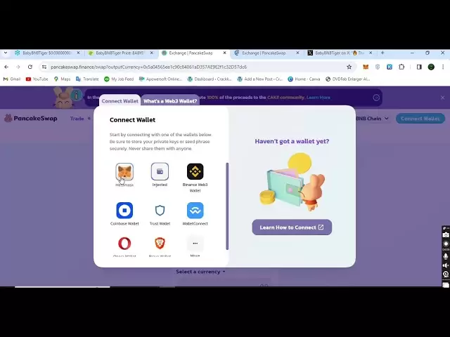 Le meilleur bébé token bnb tigre comment acheter sur un swap de crêpe