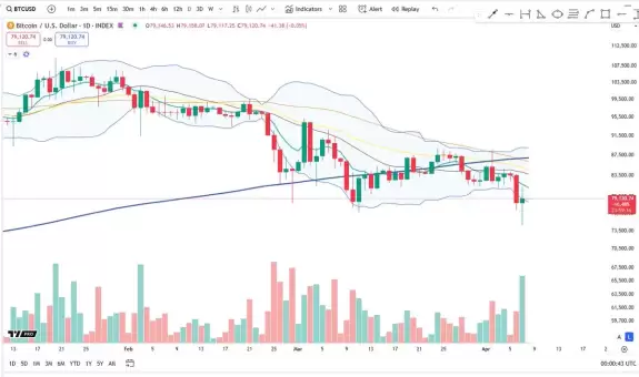 Cheds Trading