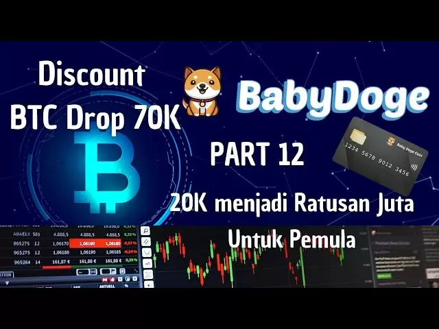 Borong购物宝贝Doge硬币第12部分