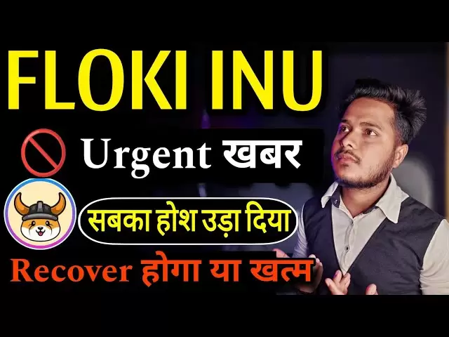 floki inu非常紧急| floki inu硬币新闻今天和价格预测|加密新闻今天