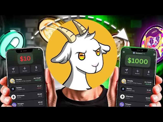 10ドルから1000ドルのソラルチャレンジ2日🤑ライブトレーディングメモコイン