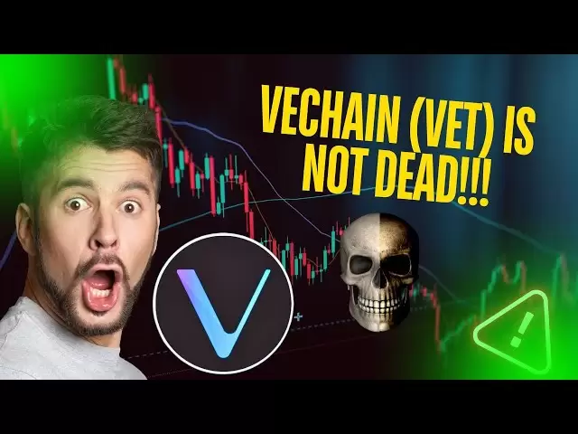 🚨isvechain（獣医）死んだコイン??価格分析[今すぐ準備]