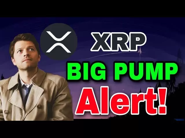 XRP Coin News Today！ XRP価格予測