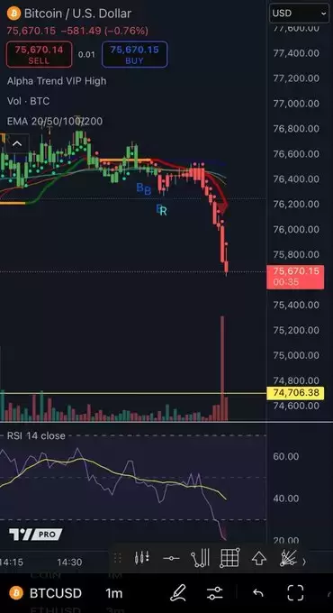 Don't follow Shardi B if you hate Money