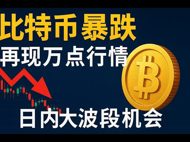 比特币暴跌再现万点行情！日内大波段机会来了？shib 柴犬币 比特币 BTC 区块链 加密货币 最新行情走势分析