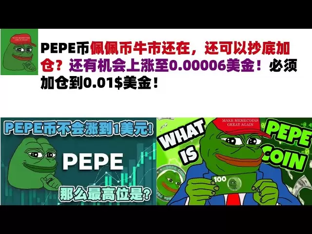 PEPE币佩佩币牛市还在，还可以抄底加仓？还有机会上涨至0.00006美金！必须加仓到0.01$美金！#PEPE币#meme币#佩佩币行情分析！