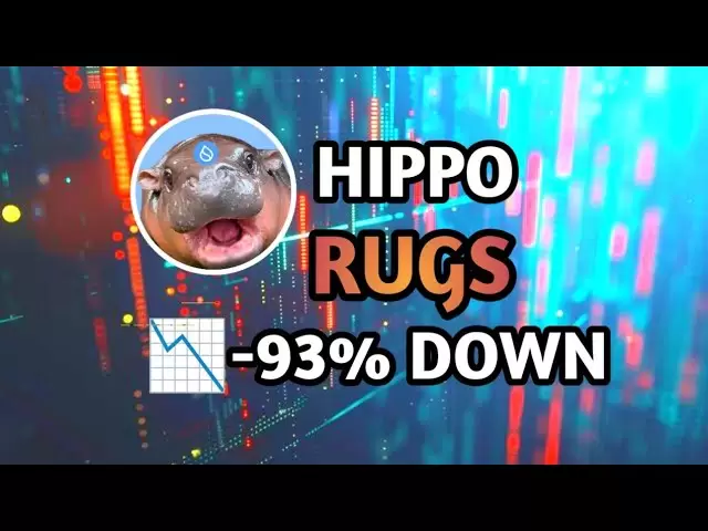 😱Shocking News😱 $ Hippo (SUI) 93% Down📉 Sudeng Hippo Analysis || Ne manque pas