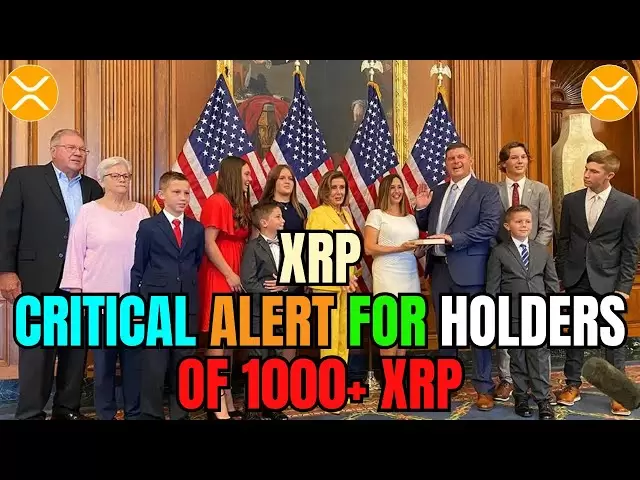 XRP Skyrockets仅在一个晚上至25,000美元 - 发现激增的原因！