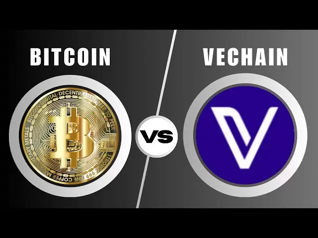 Bitcoin vs VeChain : Key Differences Explained | Crypto | BTC | VET