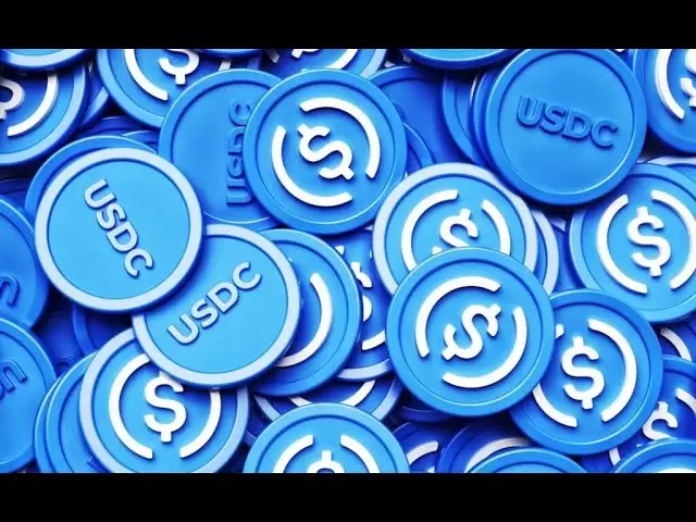 USDC硬币|这是什么？ |加密货币