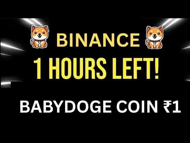 婴儿狗币€1 |燃烧| Babydoge硬币价格泵| Binance清单