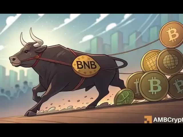 BNB是第二季度的下一個大山羊嗎？這就是為什麼比特幣投資者感到興奮的原因！