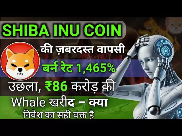Shiba Inu回来了！什布燃烧率增长了1,465％，鲸鱼的价值为1040万美元 - 时间