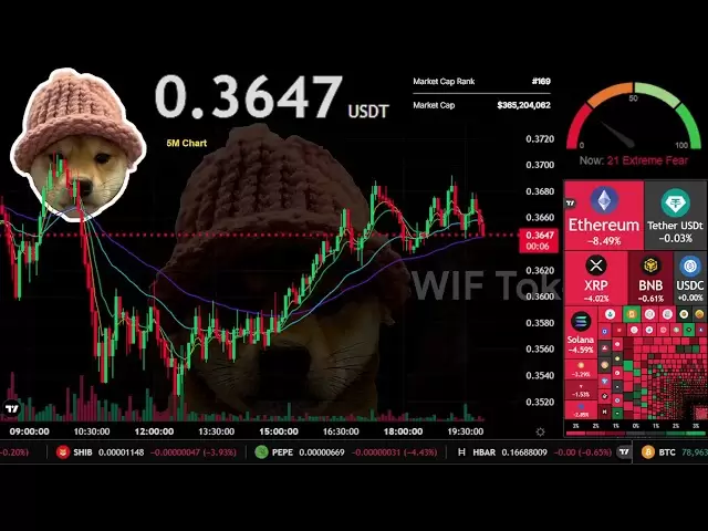$WIF | Live Stream 24/7 | WIF USDT | dogwifhat coin | $WIF Trading Signals Chart 🚀