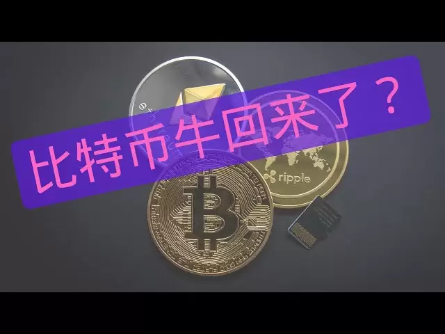 4月11日比特幣牛回來了？