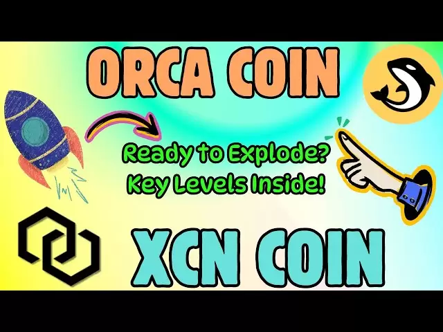 ORCA & XCN COIN 가격 행동-필수 차트 패턴!
