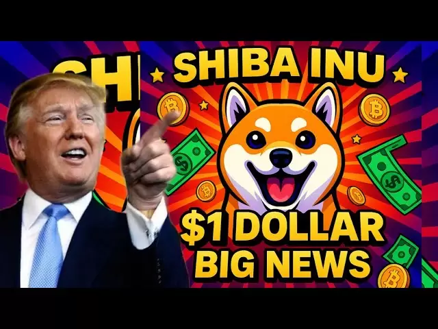 Shiba INU 1 달러 중국 지원 🔥 Shiba Inu Coin News Today Financial Crypto Stocks 거래 비트 코인