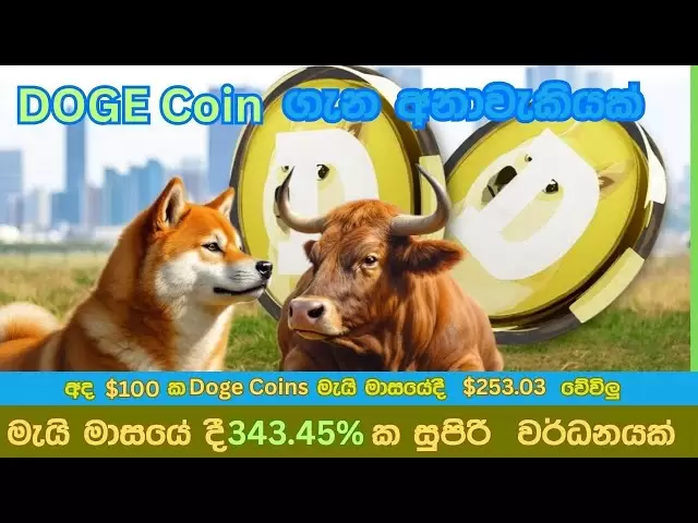 Doge Coin II的超值於下個月排名前343.03％