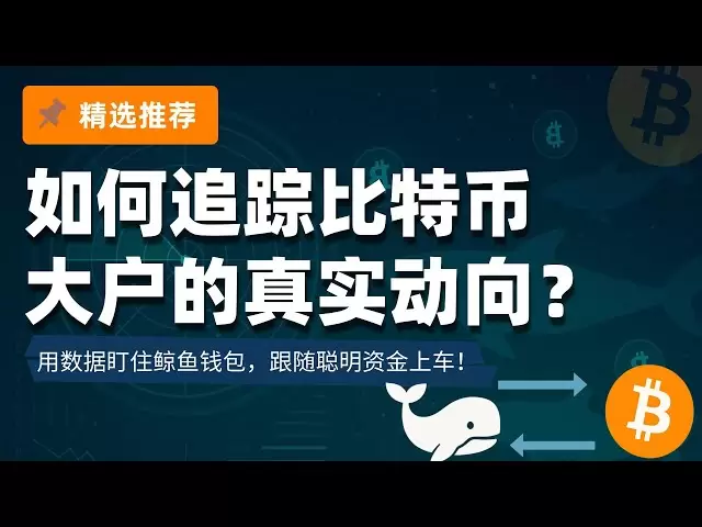 如何追踪比特幣大戶的真實動向？用數據盯住鯨魚錢包，跟隨聰明資金上車！