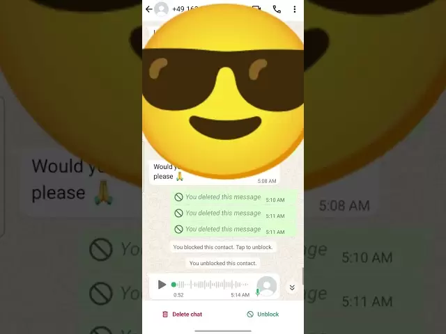 與德國Flash USDT騙子對話