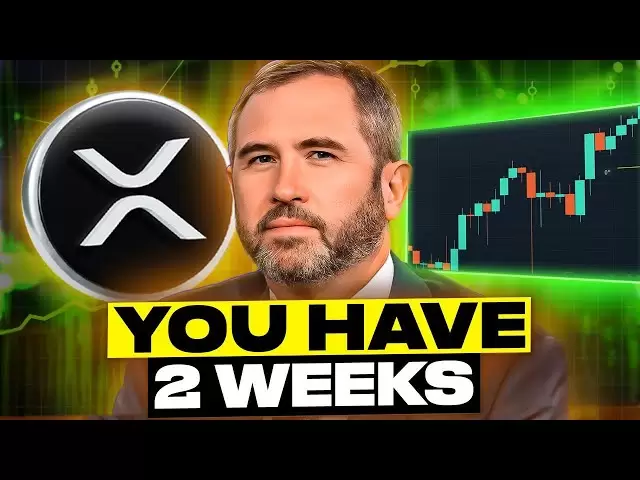 New Ripple Partnership wird 10x XRP -Preis! (Sie haben 2 Wochen!)