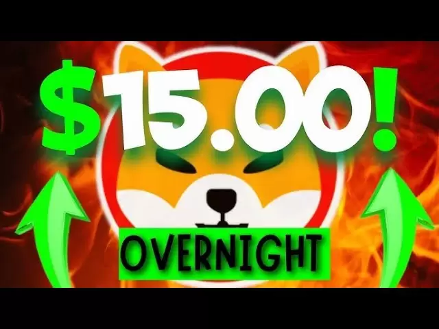Shibarium schickt Shiba Inu Münze über Nacht auf 15 US -Dollar !! - Shiba Inu Coin News heute