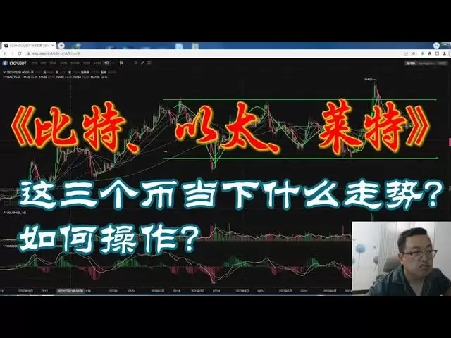 仮想通貨の共有：ビットコイン、イーサリアム、およびLitecoinの現在の傾向は何ですか？操作方法は？