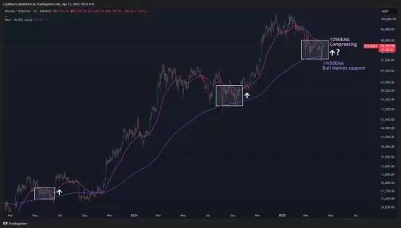 CrypNuevo🔨
