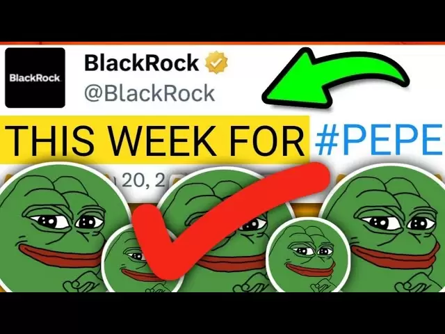 得到！ Heder Pepe Full Ketawa。