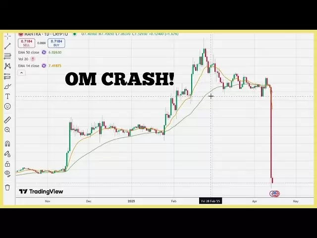 Om Mantra Dao Token Crash!