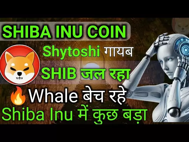 Shytoshi Missing Shib brûle la baleine et vend quelque chose de grand dans Shiba Inu. Shiba Inu Coin News aujourd'hui