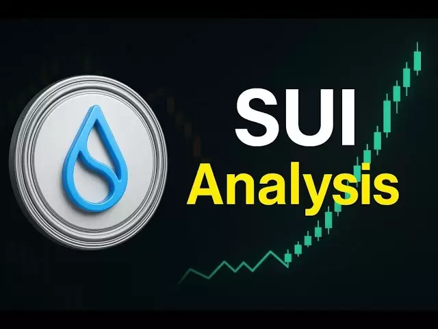 Sui data metrics began to show positive indications?