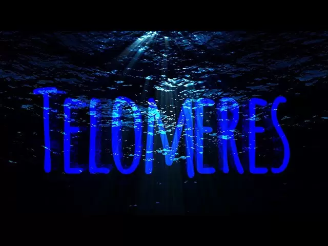 Télomeres by Sleep Token (vidéo lyrique)
