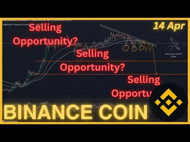 Binance Coin (BNB): Nous pourrions tomber dur | Résistance clé | Avril 2025