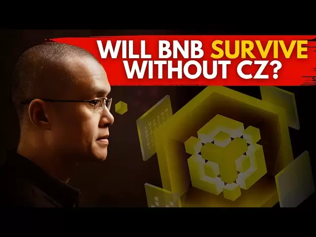 您應該投資BNB嗎？無偏見的潛水（Binance硬幣審查）