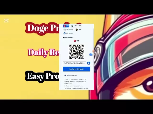 新項目在這裡現場|| Doge硬幣平台