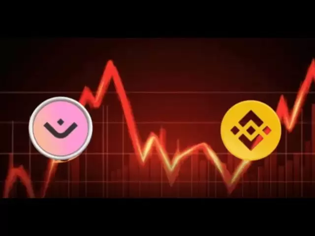Binance解决了7400万美元清算后的咒语崩溃