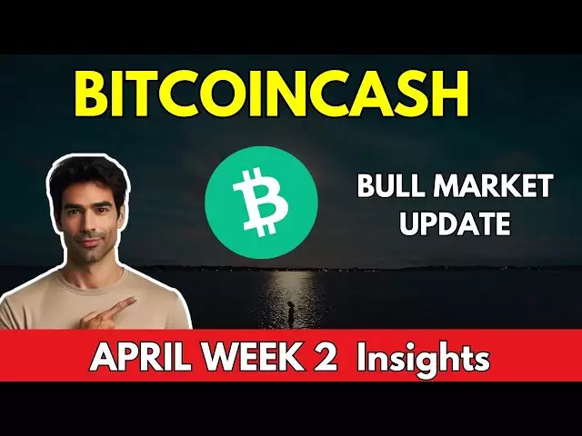 BitCoincash BCH價格新聞今天，技術分析和BCH價格預測2024/2025