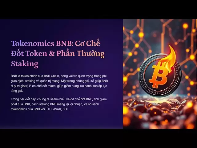 BNB Tokenomics：令牌燃燒機制和股票獎勵