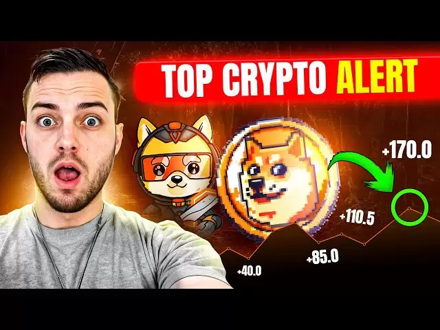 doge 2.0ユーティリティが発表されました！なぜエロンがすべてに入っているのか！